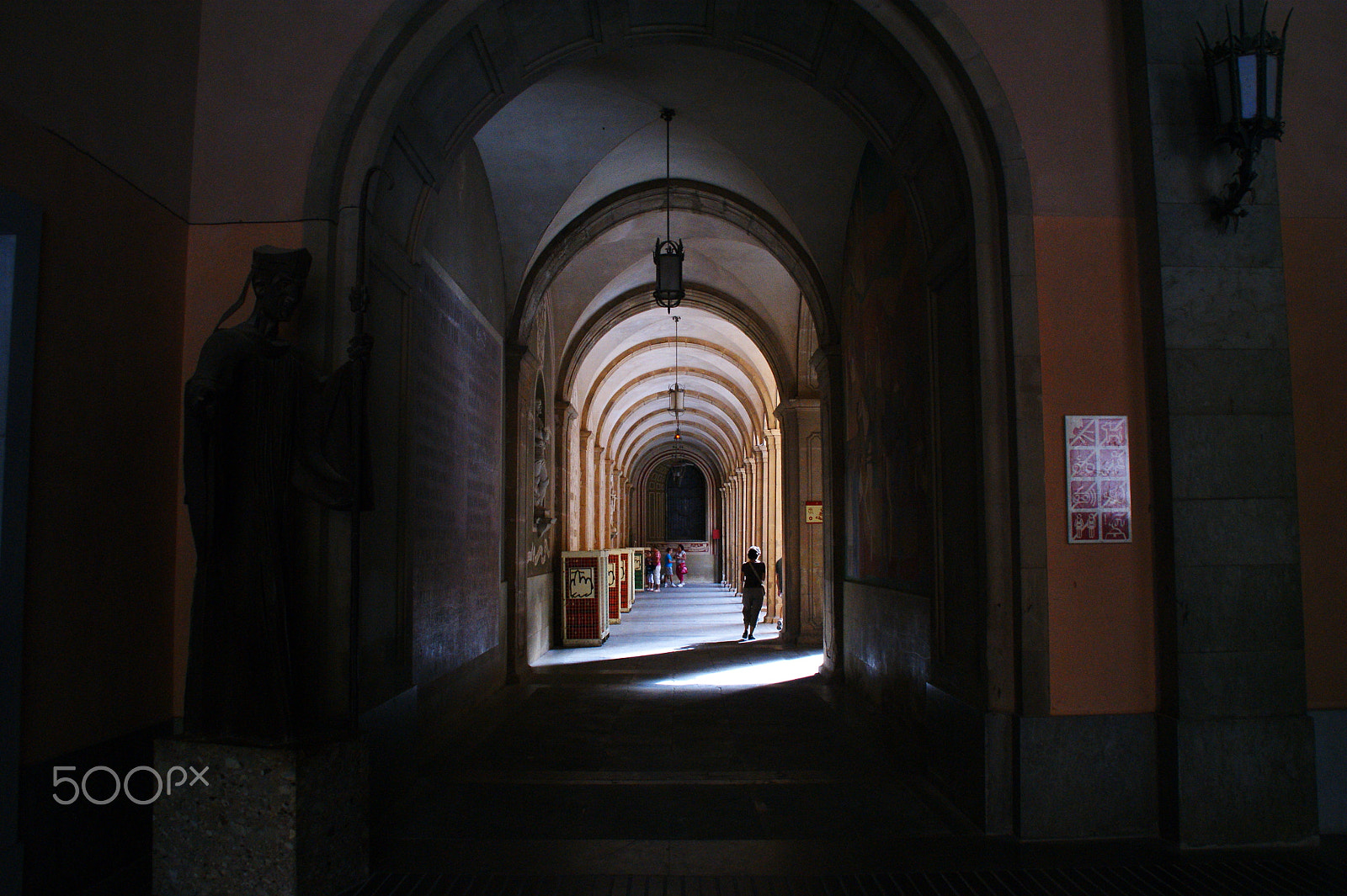 Sony DT 18-200mm F3.5-6.3 sample photo. Searching for a shadow ... photography