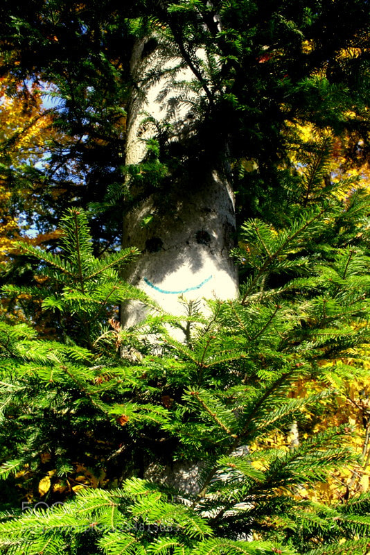 Canon EOS 1100D (EOS Rebel T3 / EOS Kiss X50) sample photo. Smile in the forest photography