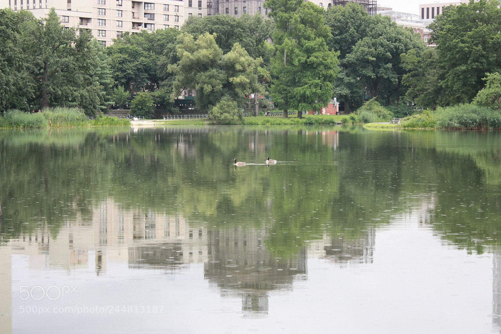 Canon EF-S 18-55mm F3.5-5.6 IS sample photo. Lake photography