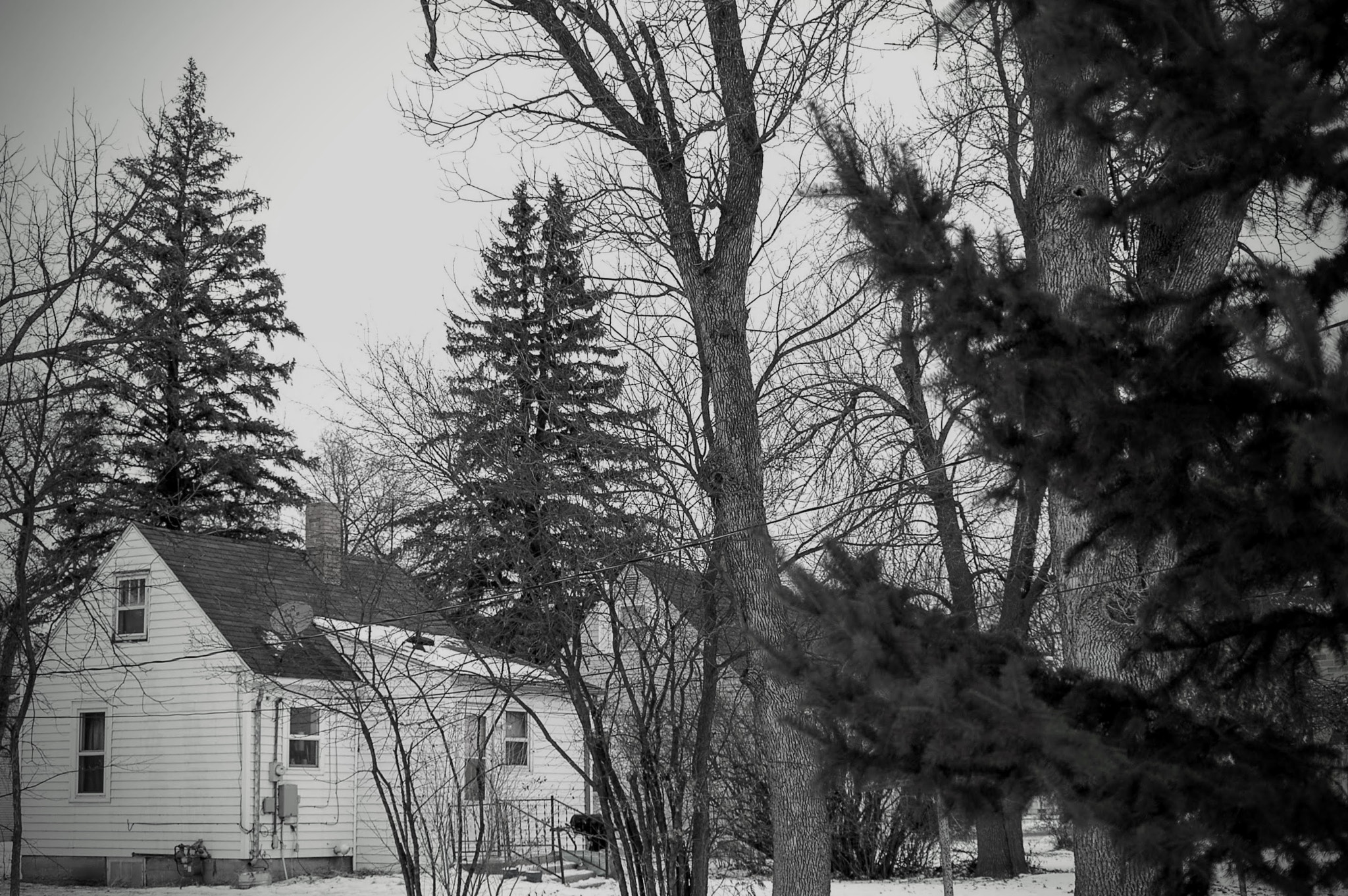 Nikon D70 sample photo. Winter in west-central minnesota photography