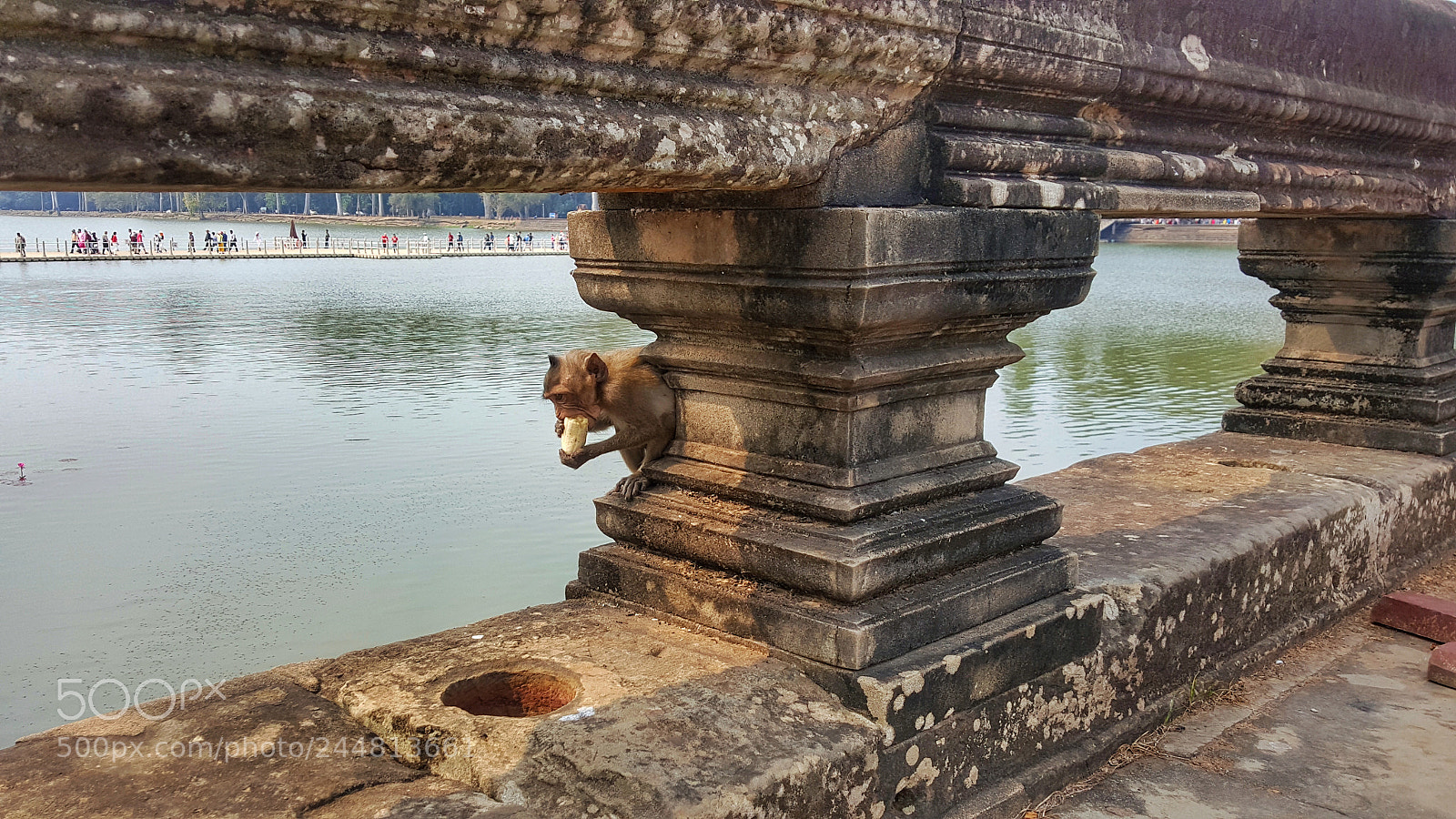 Samsung Galaxy Note5 sample photo. Monkey in angkor wat photography