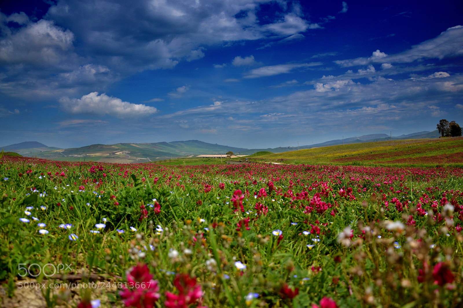 Nikon D3100 sample photo. Colors of nature photography