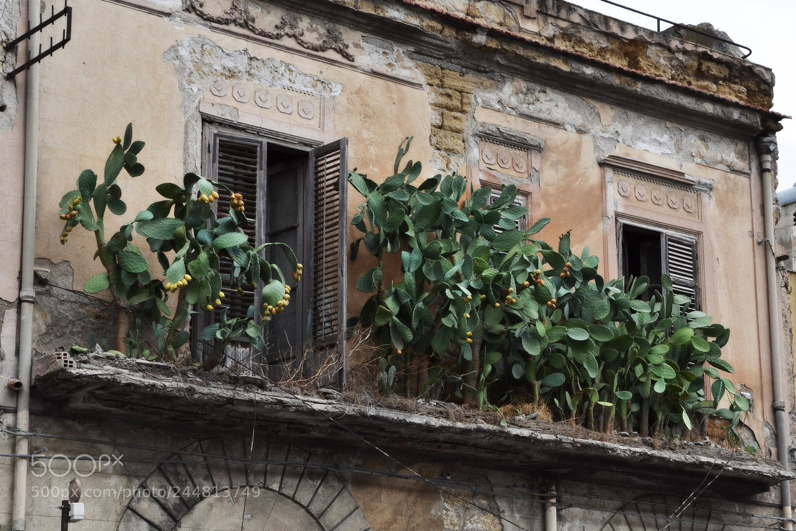 Nikon D3100 sample photo. Quello che non ti photography