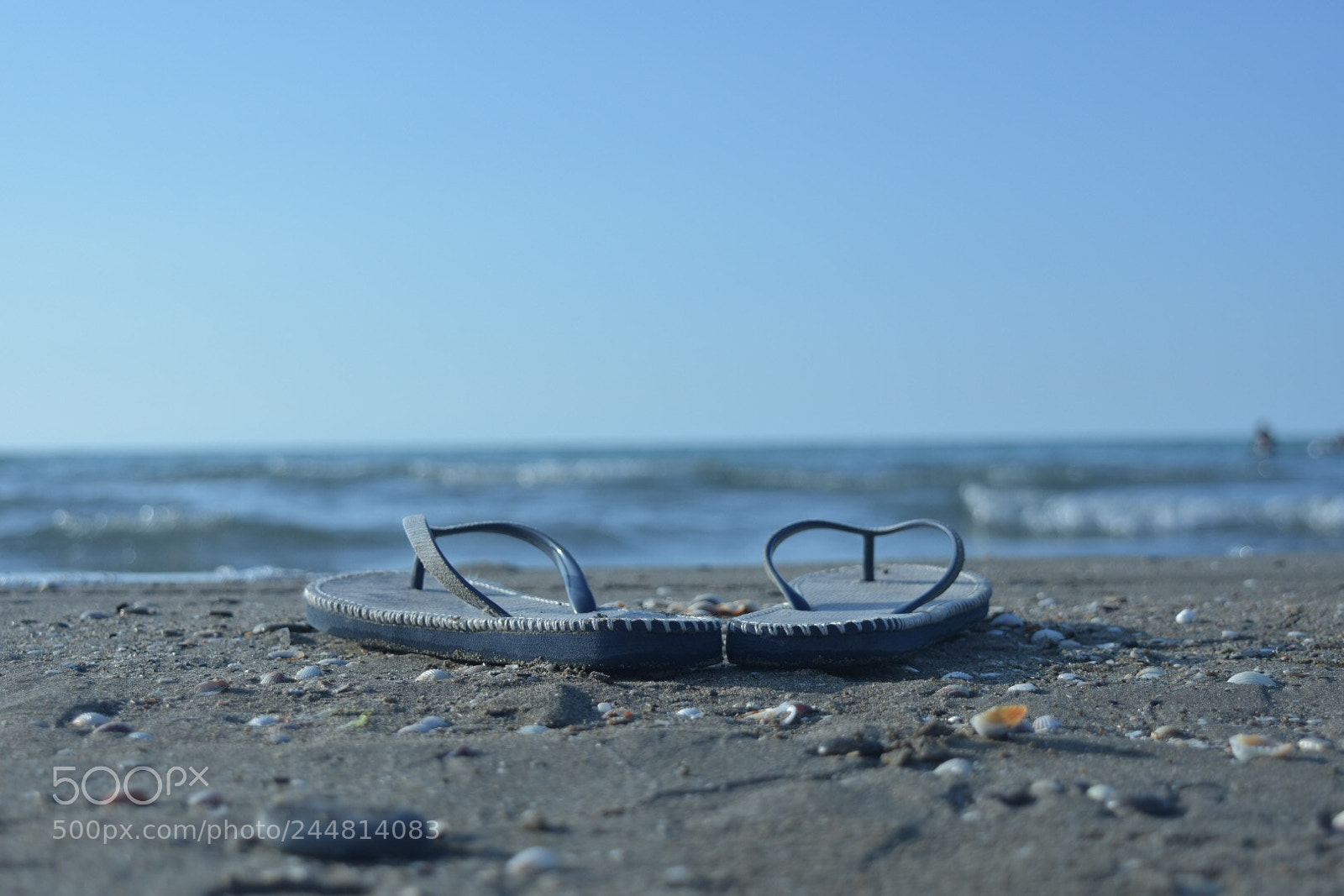 Nikon D7200 sample photo. Untitled photography