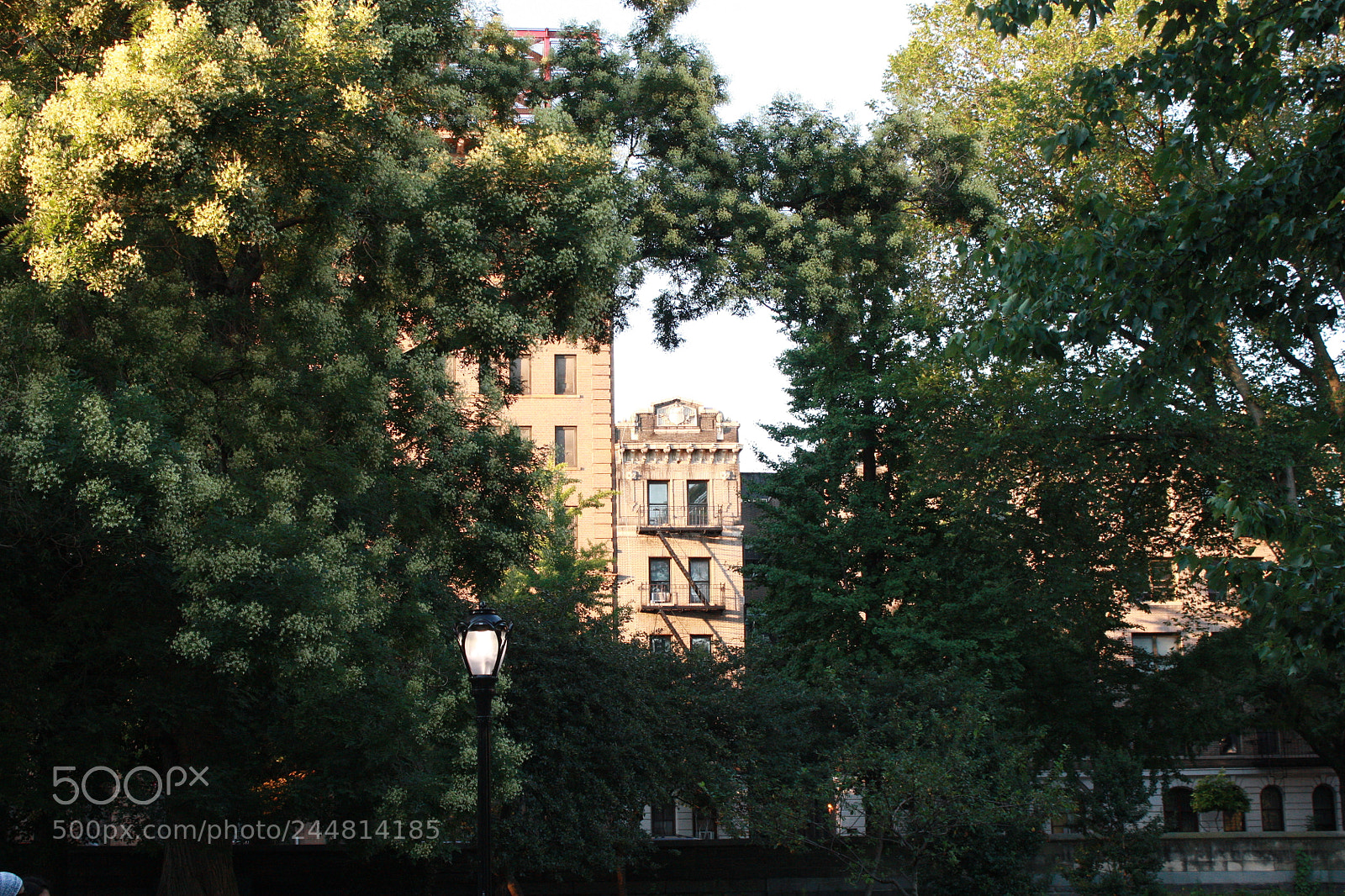 Canon EF-S 18-55mm F3.5-5.6 IS sample photo. Img photography