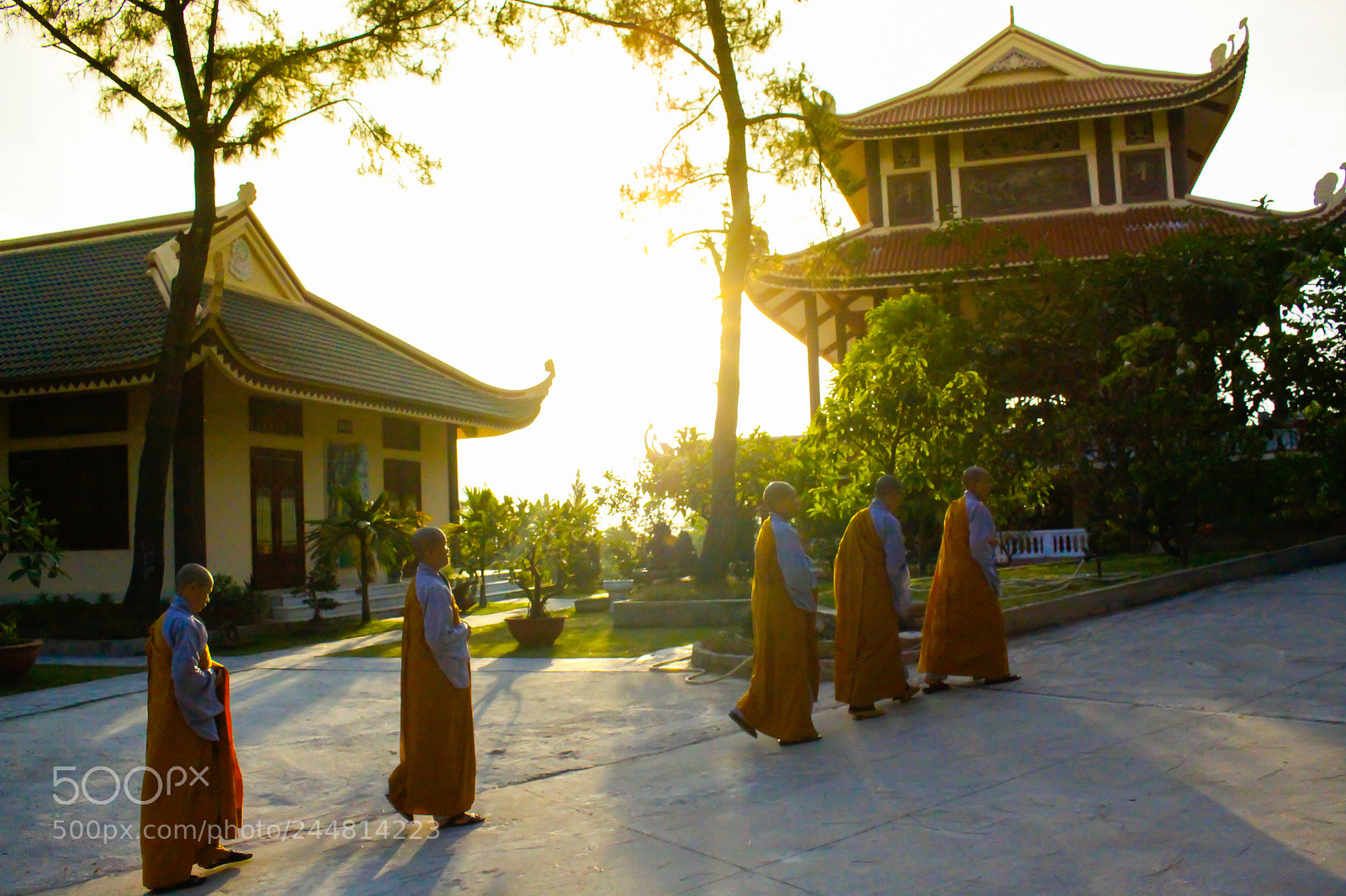 Canon EOS 50D sample photo. Buddhism in vietnam photography