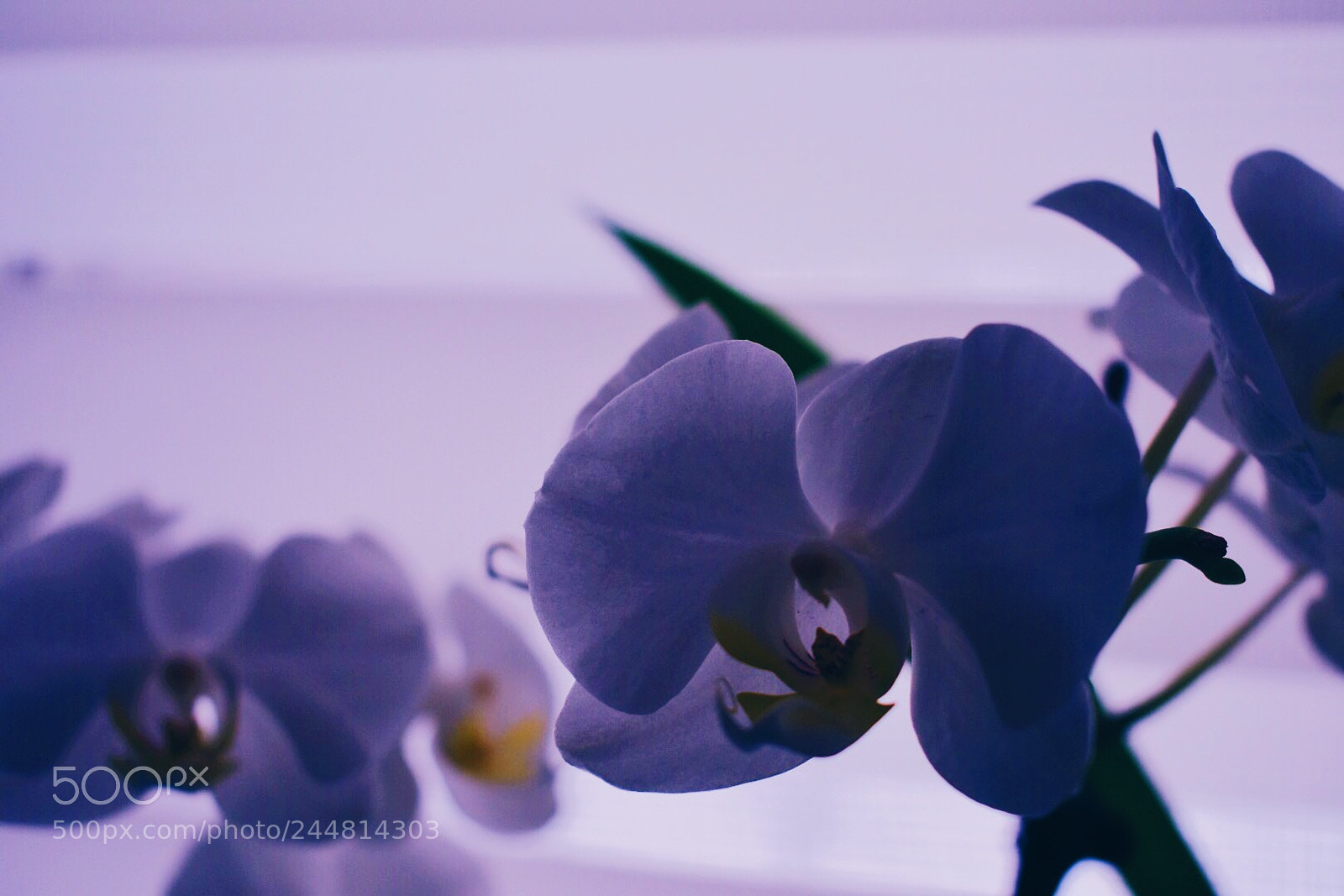 Nikon D3400 sample photo. Untitled photography