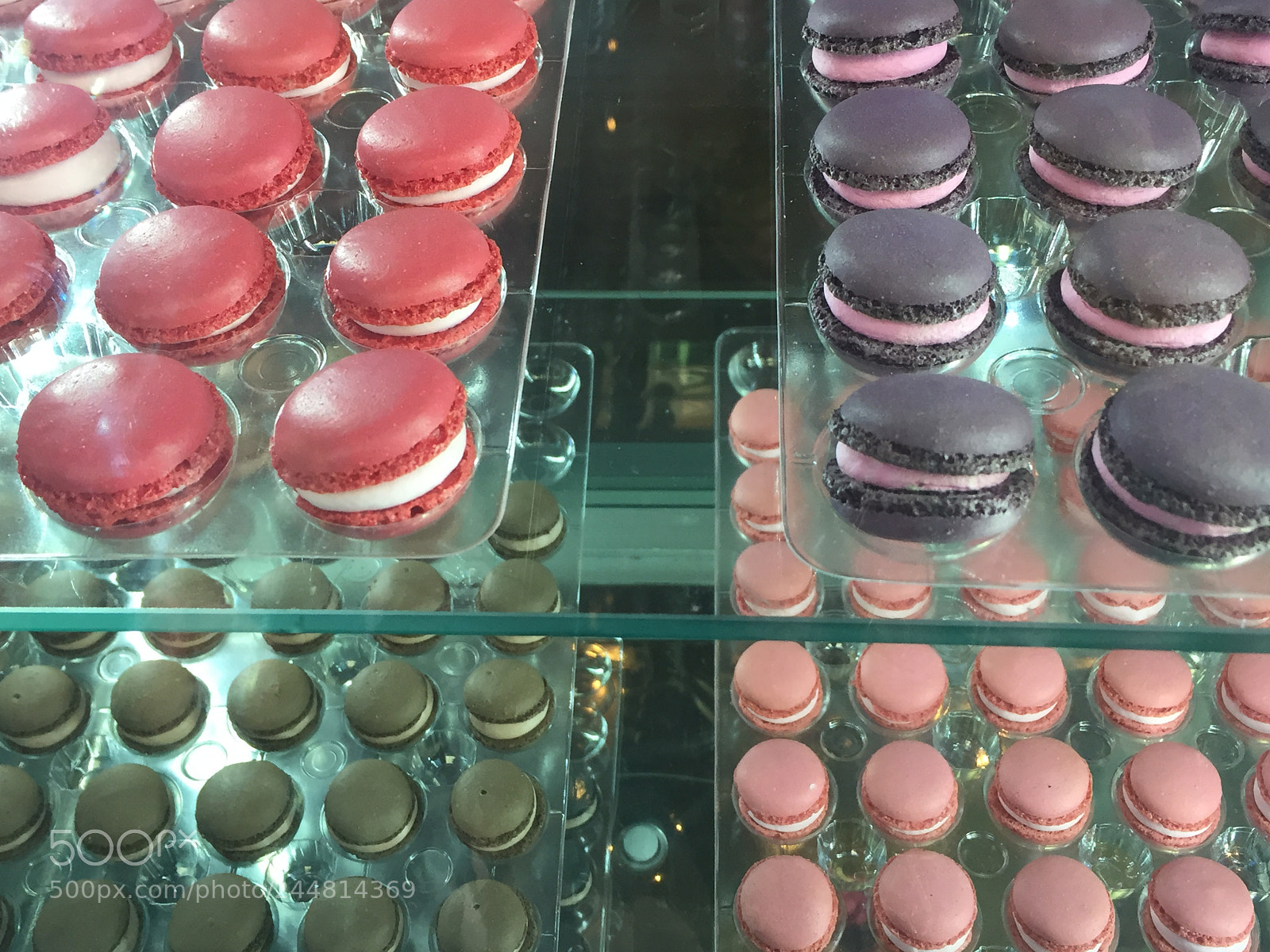 Apple iPhone 6 sample photo. Untitled photography