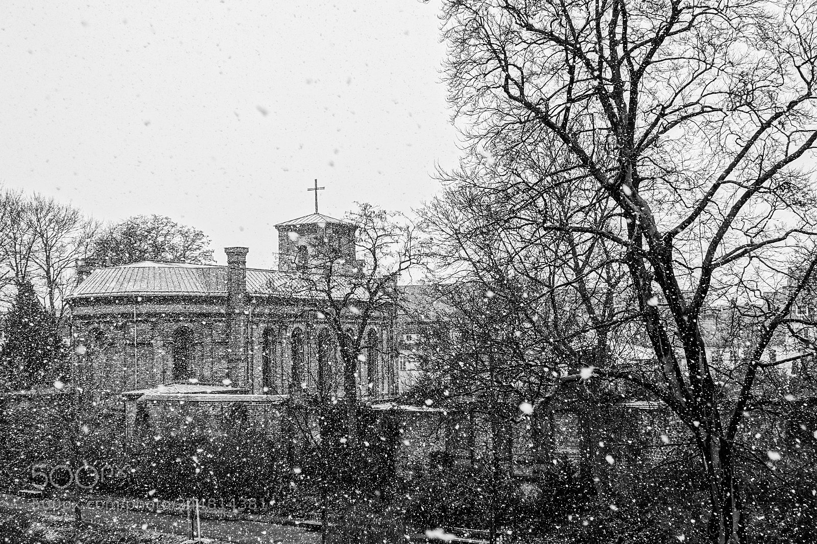 Sony Cyber-shot DSC-RX100 III sample photo. Let it snow photography