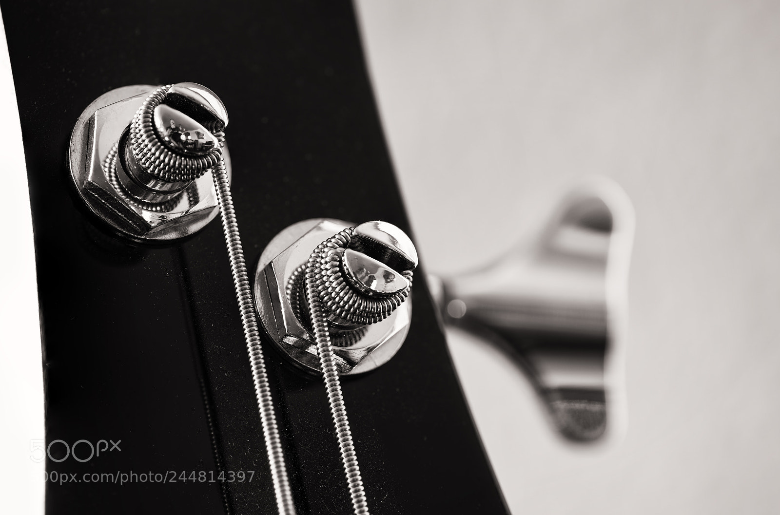 Nikon D850 sample photo. Bass_strings photography