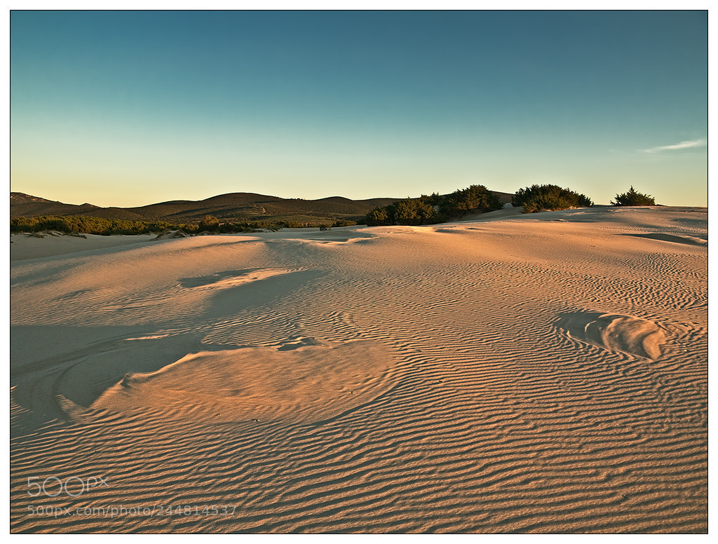 Canon PowerShot G1 X sample photo. Almost a desert iii photography