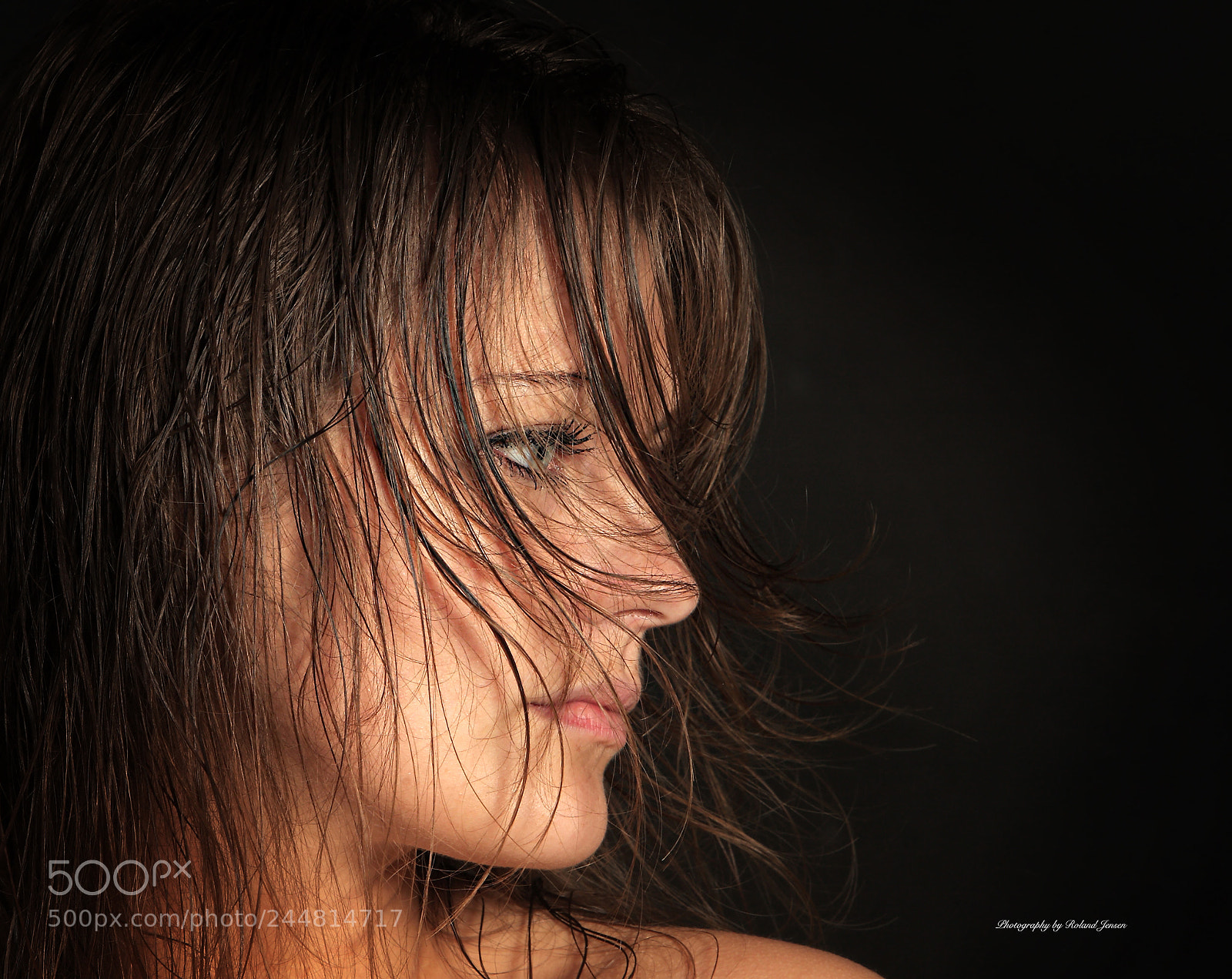 Canon EOS 40D sample photo. Helle photography