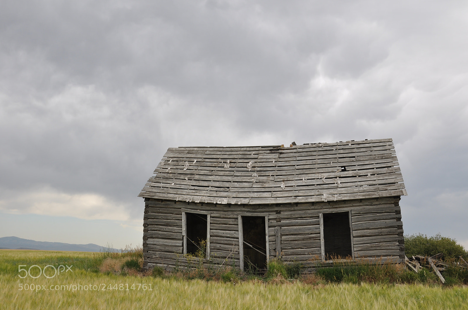 Nikon D90 sample photo. Abandoned shack photography