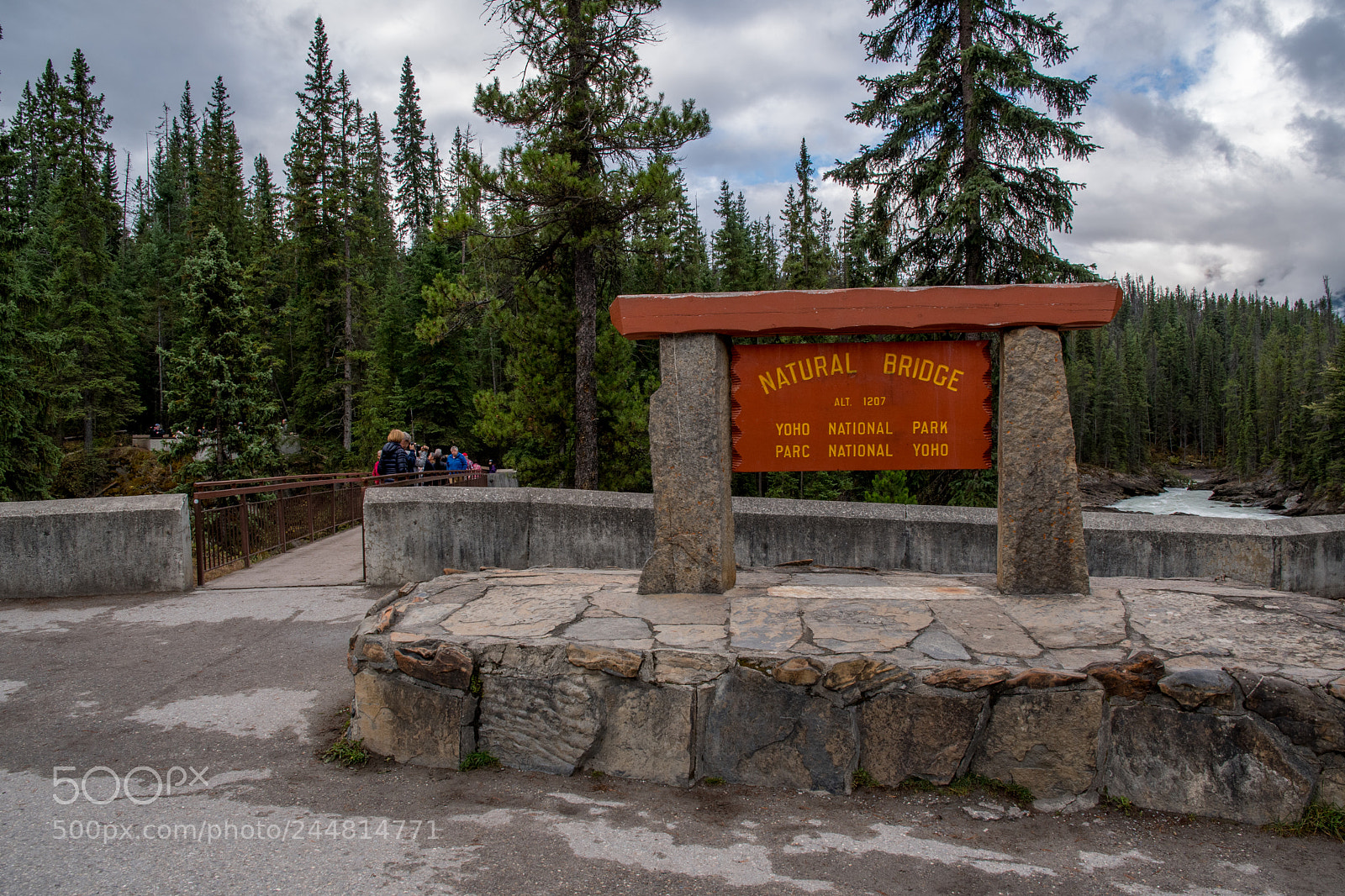 Nikon D500 sample photo. Alberta canada. national parks. photography