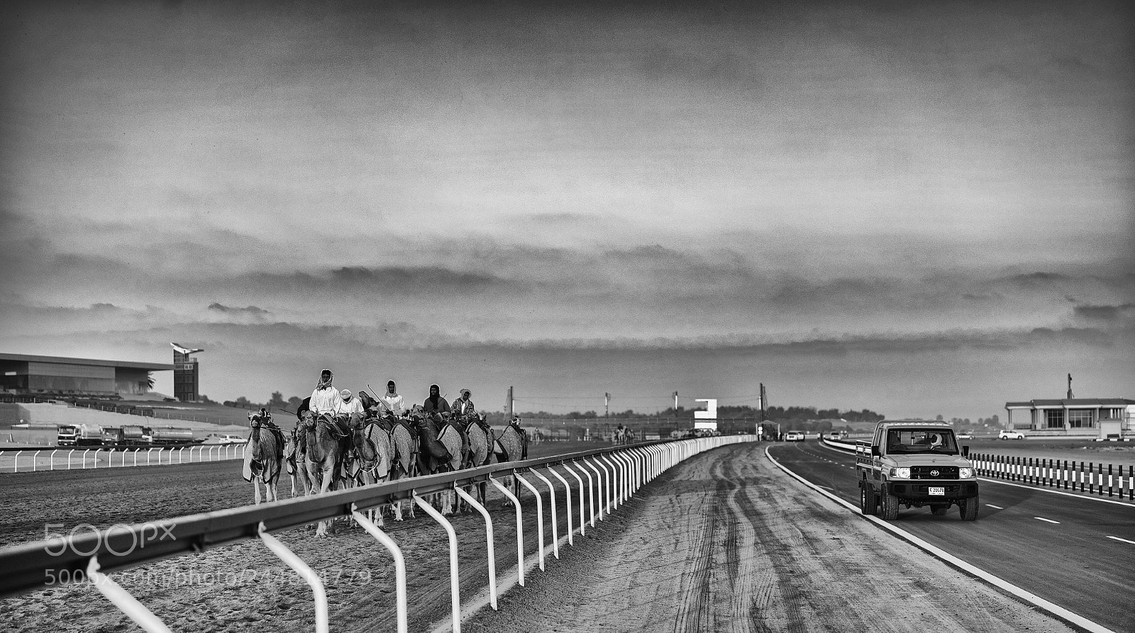 Nikon D5 sample photo. On the track! photography