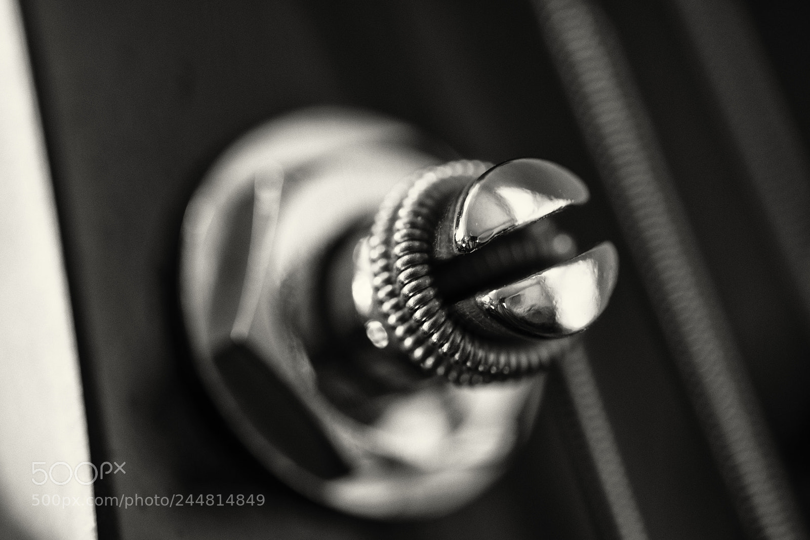 Nikon D850 sample photo. Bass photography