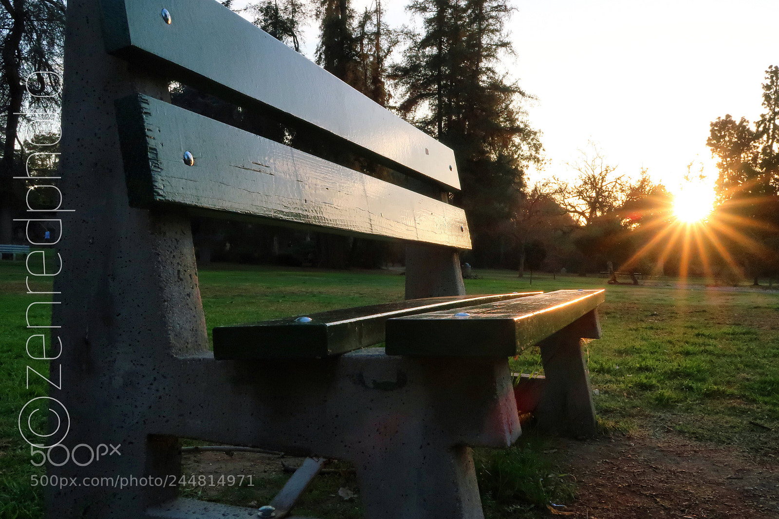 Canon PowerShot G7 X Mark II sample photo. Lacy park san marino photography