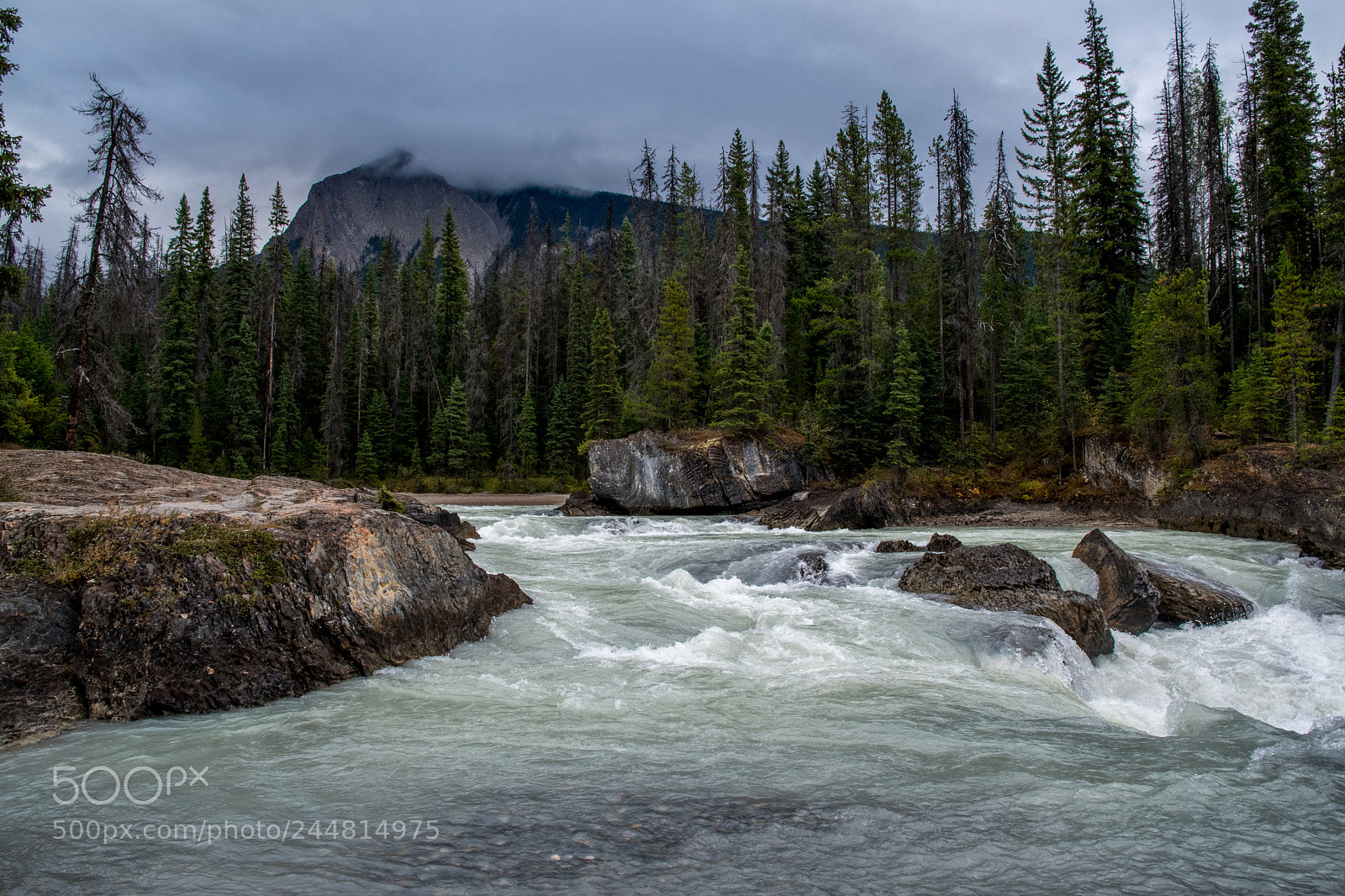 Nikon D500 sample photo. Alberta canada. national parks. photography