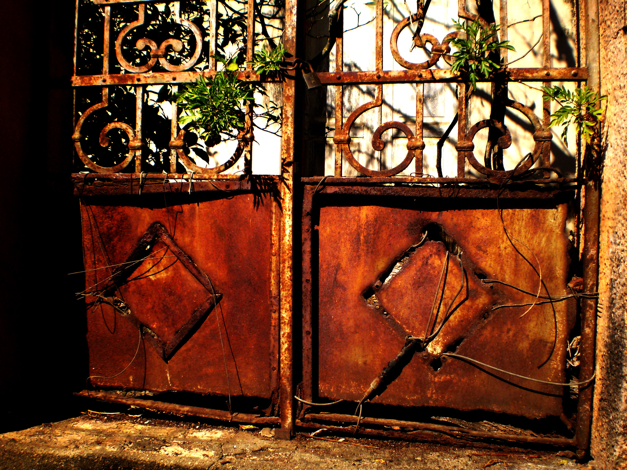 Olympus FE170,X760 sample photo. Detalhe fotografia tirada em carmo do rio claro mg photography