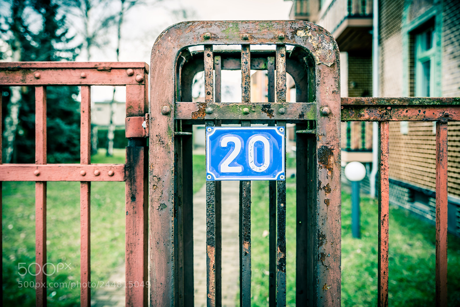 Nikon D800 sample photo. The number photography