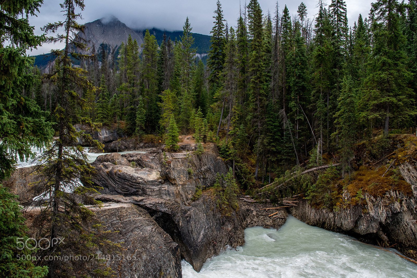 Nikon D500 sample photo. Alberta canada. national parks. photography