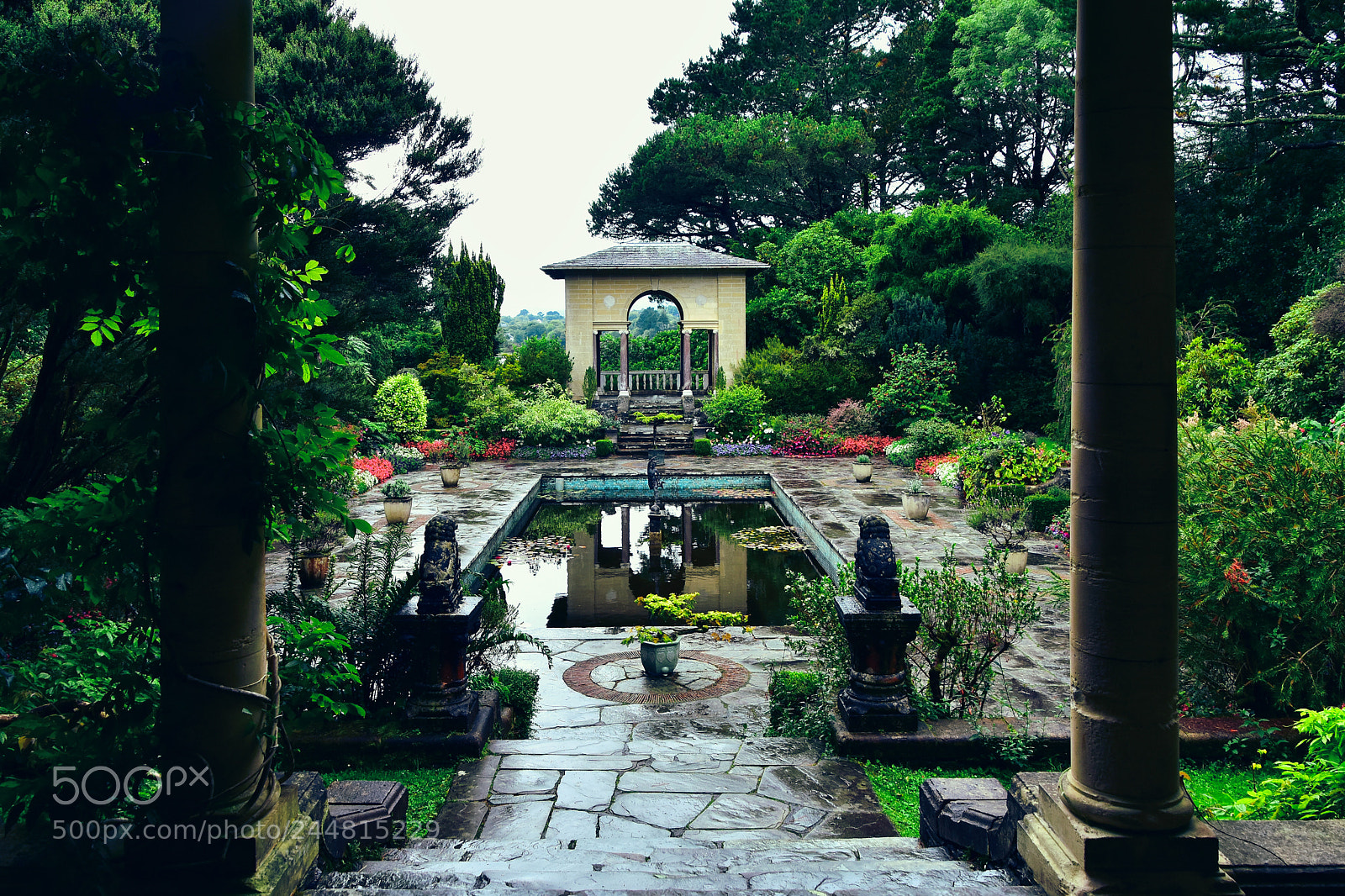 Nikon D7200 sample photo. Irish garden photography