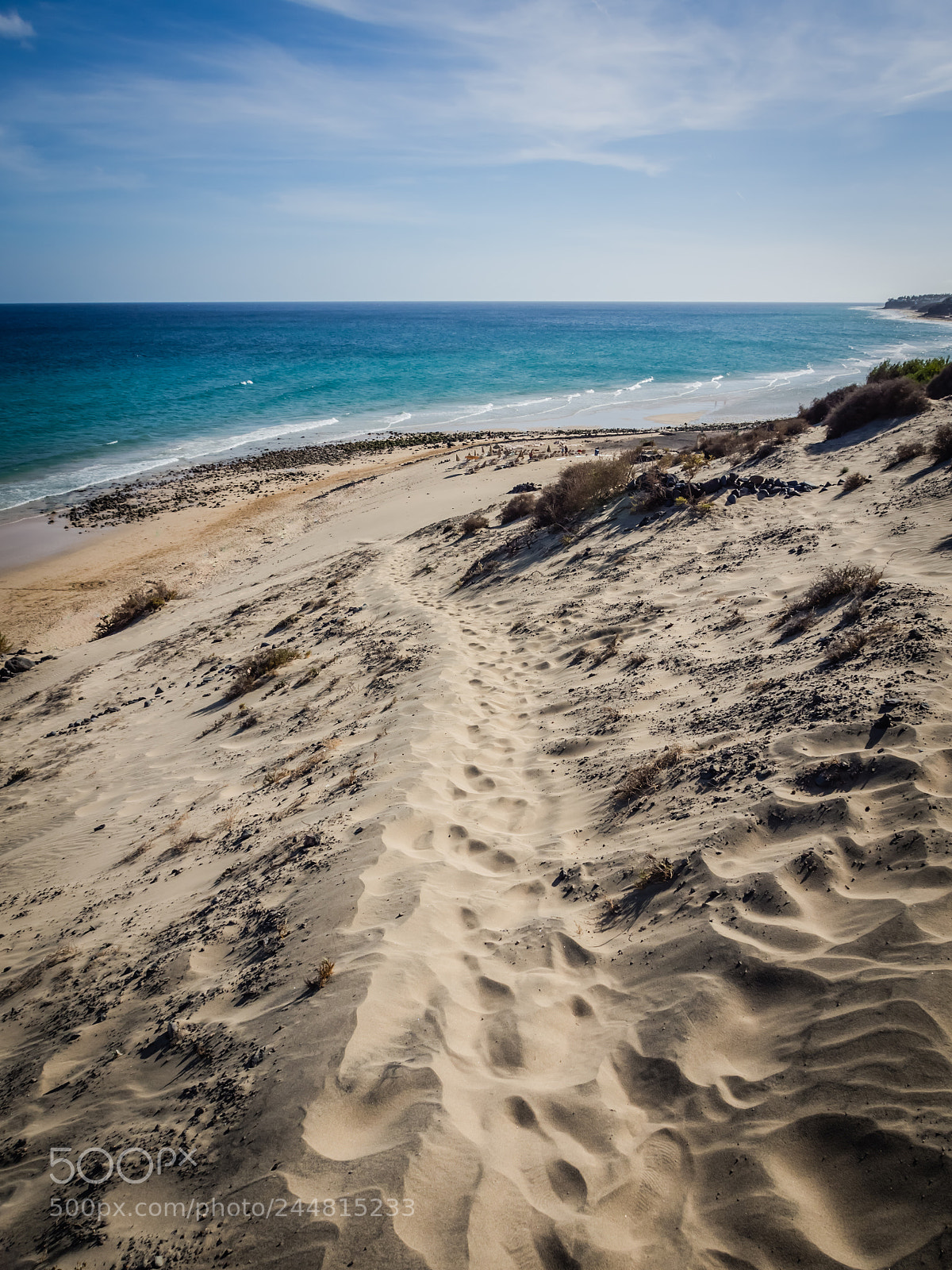 Olympus OM-D E-M5 sample photo. Path to the ocean photography