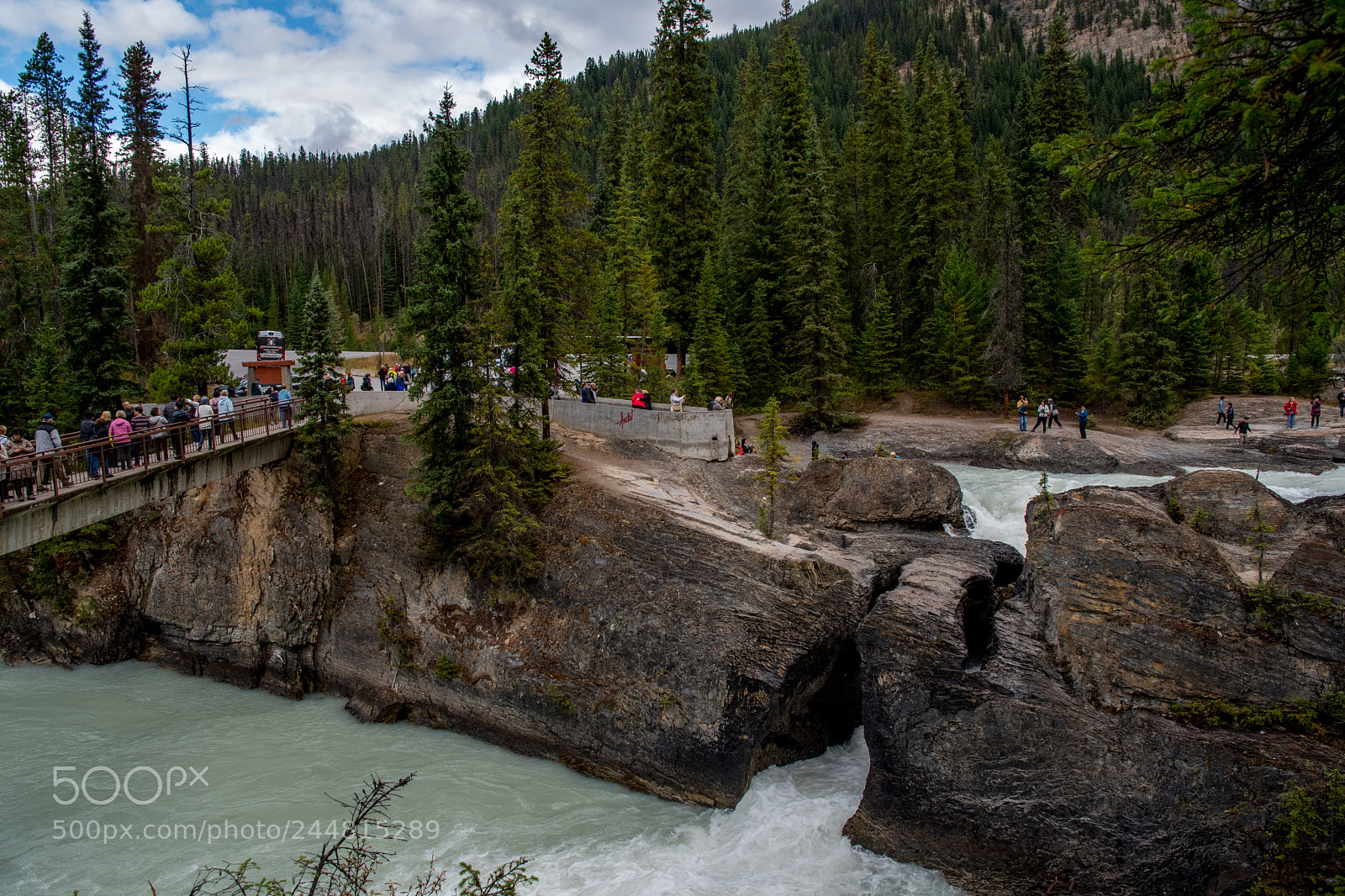 Nikon D500 sample photo. Alberta canada. national parks. photography