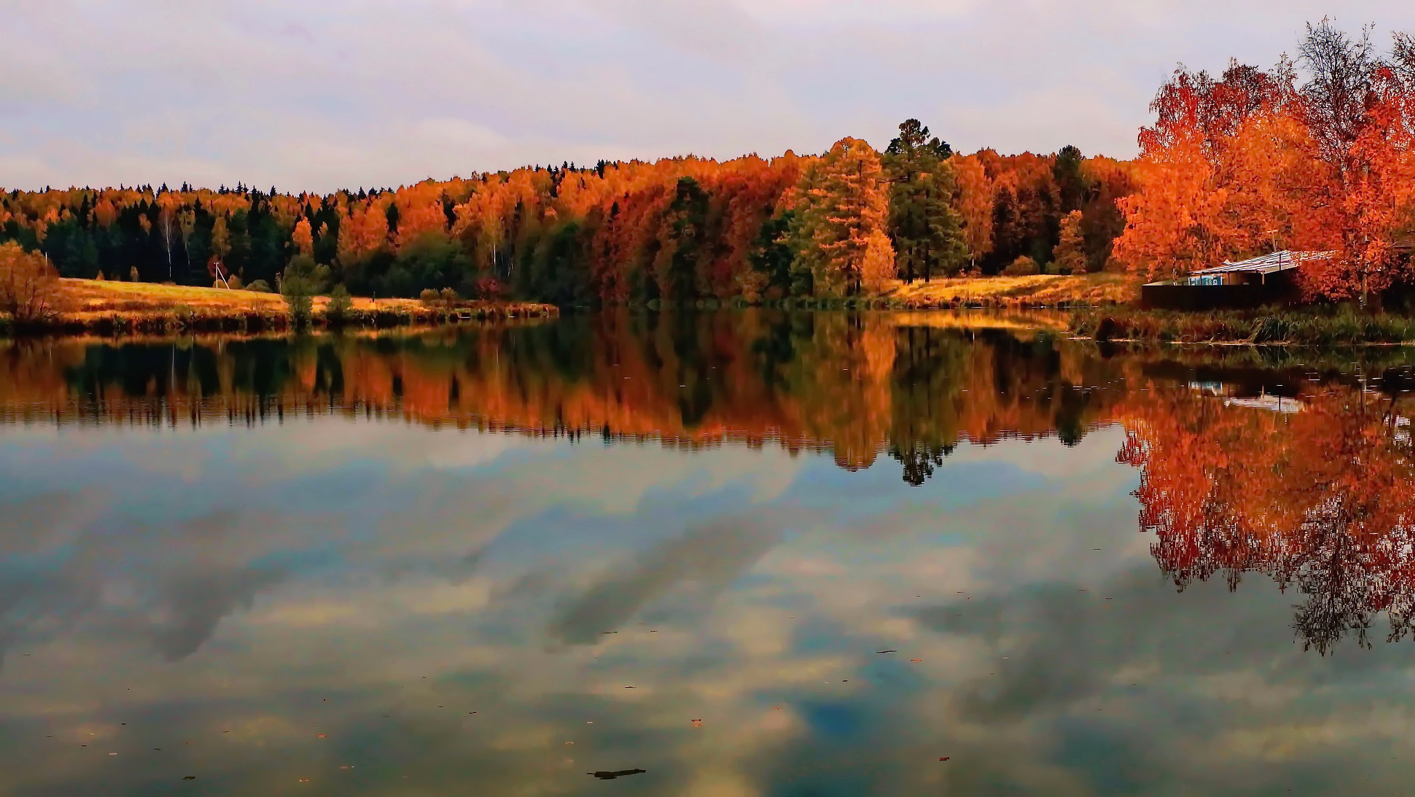 Canon EOS sample photo. Gold russian autumn photography
