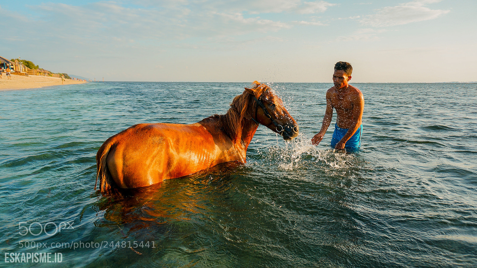 Sony Alpha NEX-6 sample photo. Sea horse photography