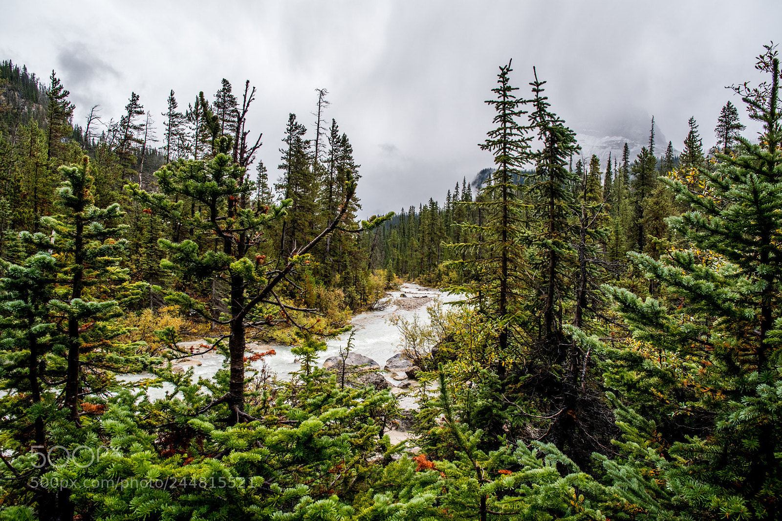 Nikon D500 sample photo. Alberta canada. national parks. photography