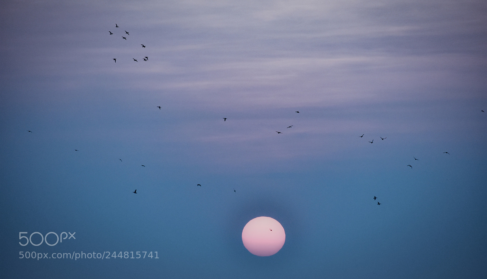 Nikon D3400 sample photo. View.!! photography