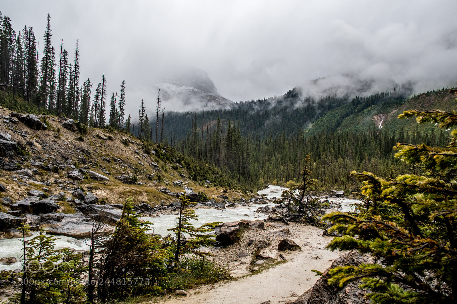 Nikon D500 sample photo. Alberta canada. national parks. photography