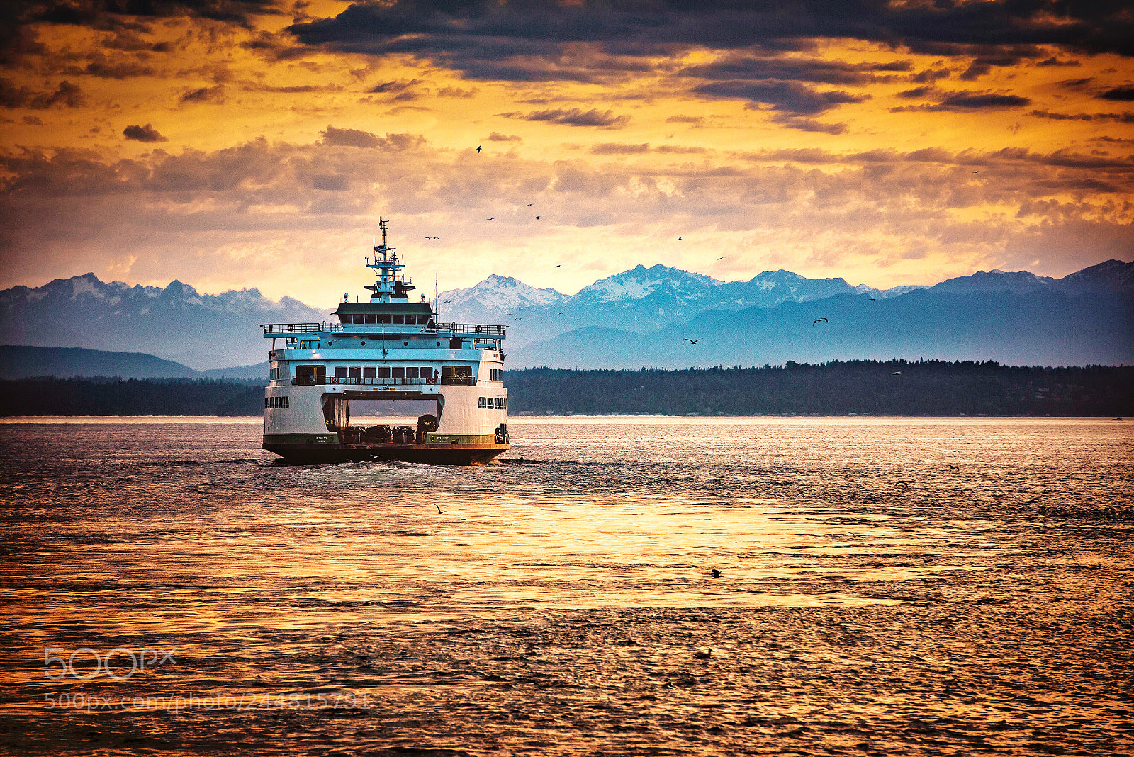 Nikon D810 sample photo. Sunset sailing photography