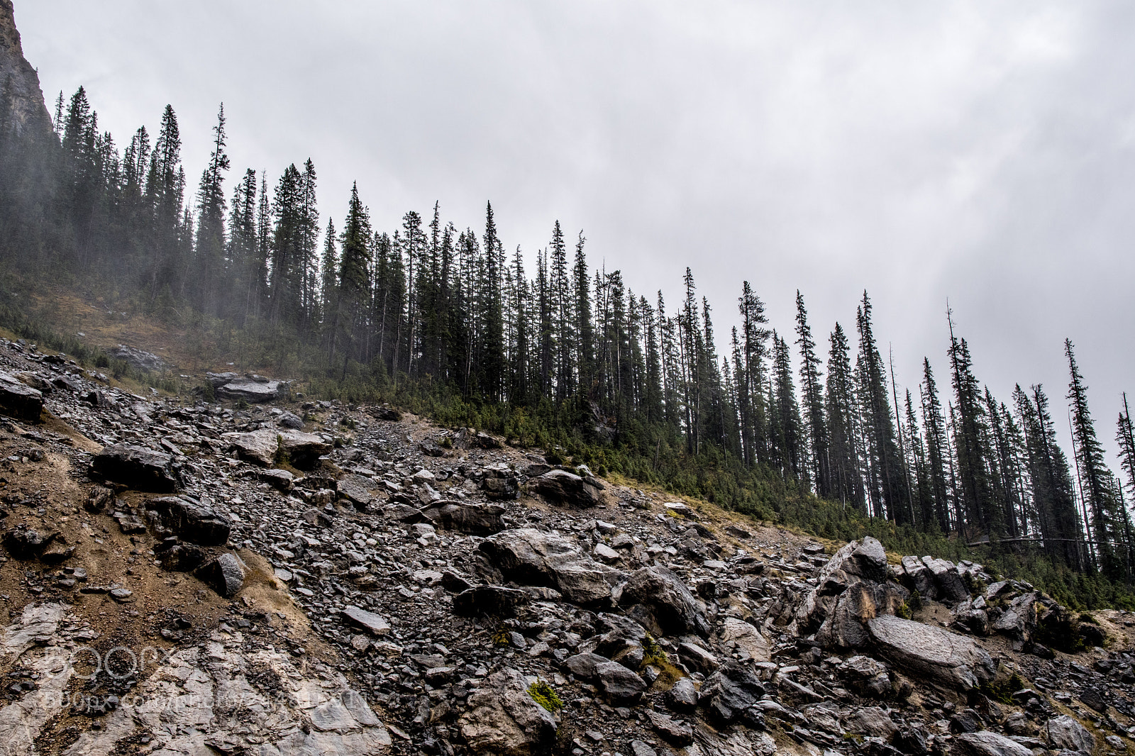 Nikon D500 sample photo. Alberta canada. national parks. photography