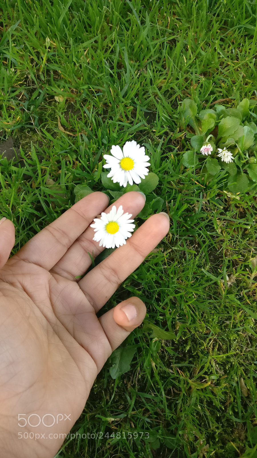 OnePlus A3003 sample photo. Untitled photography