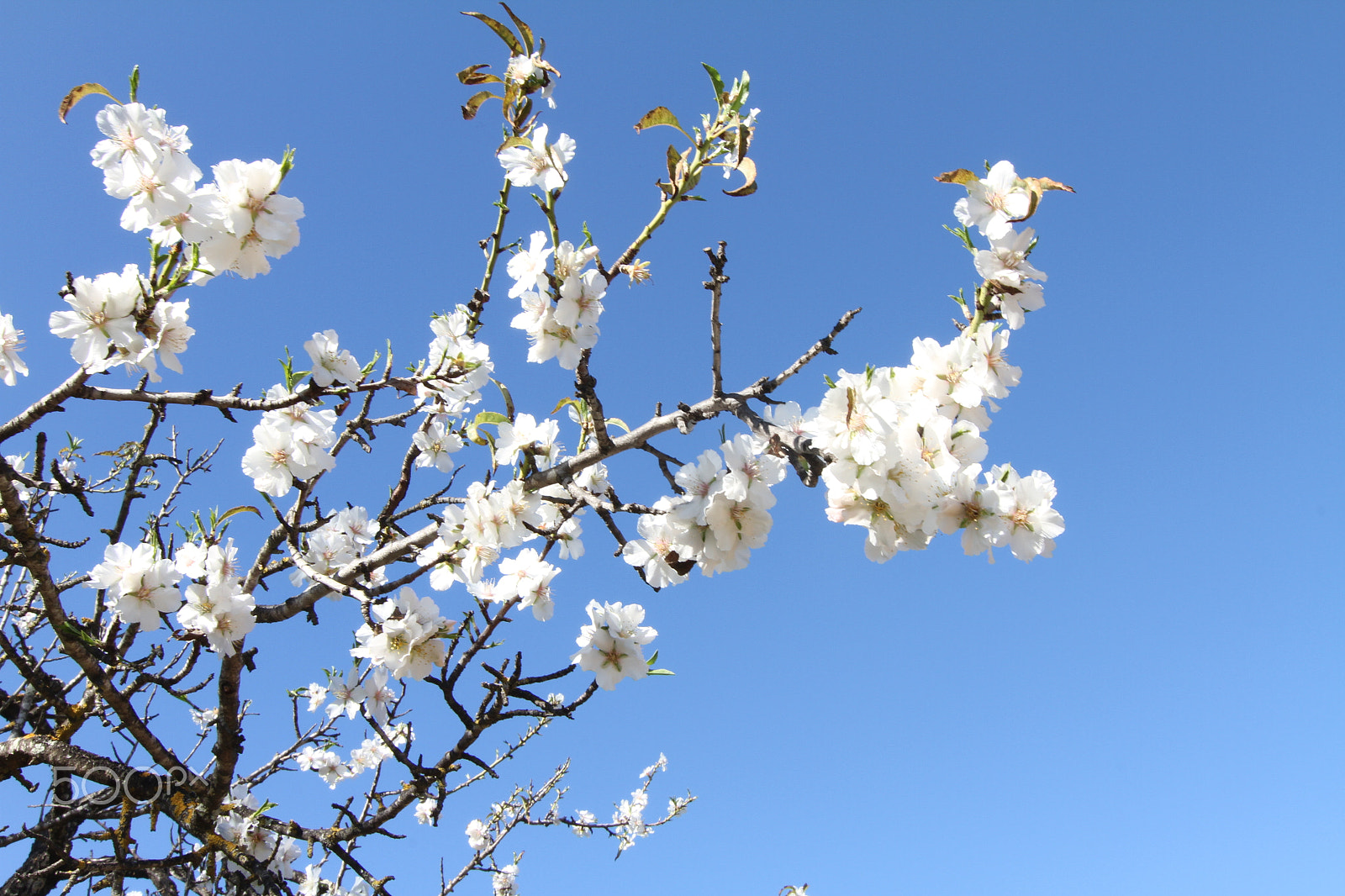Tokina AT-X Pro 12-24mm F4 (IF) DX sample photo. Power nature photography