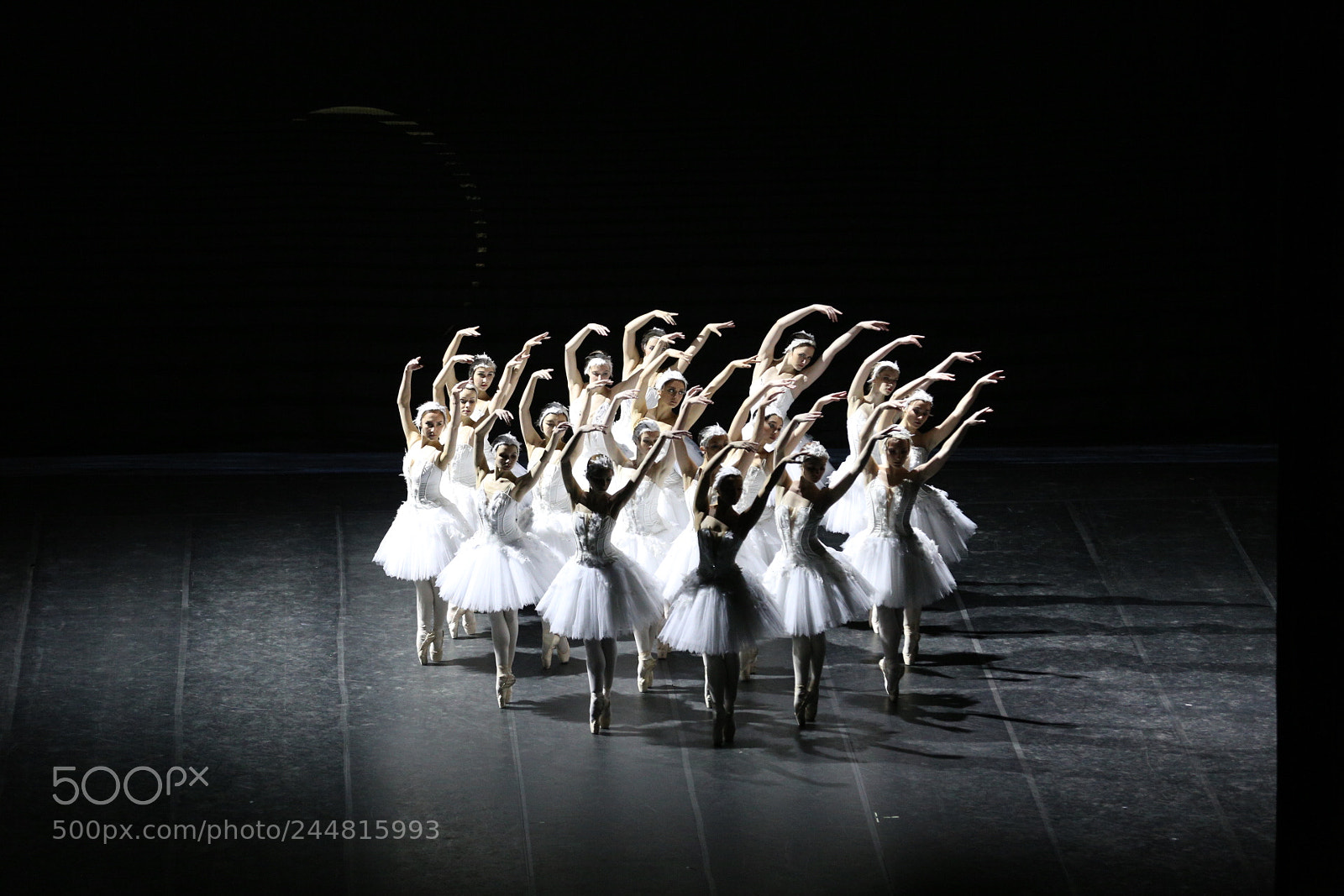 Canon EF 70-200mm F2.8L IS II USM sample photo. Untitled photography