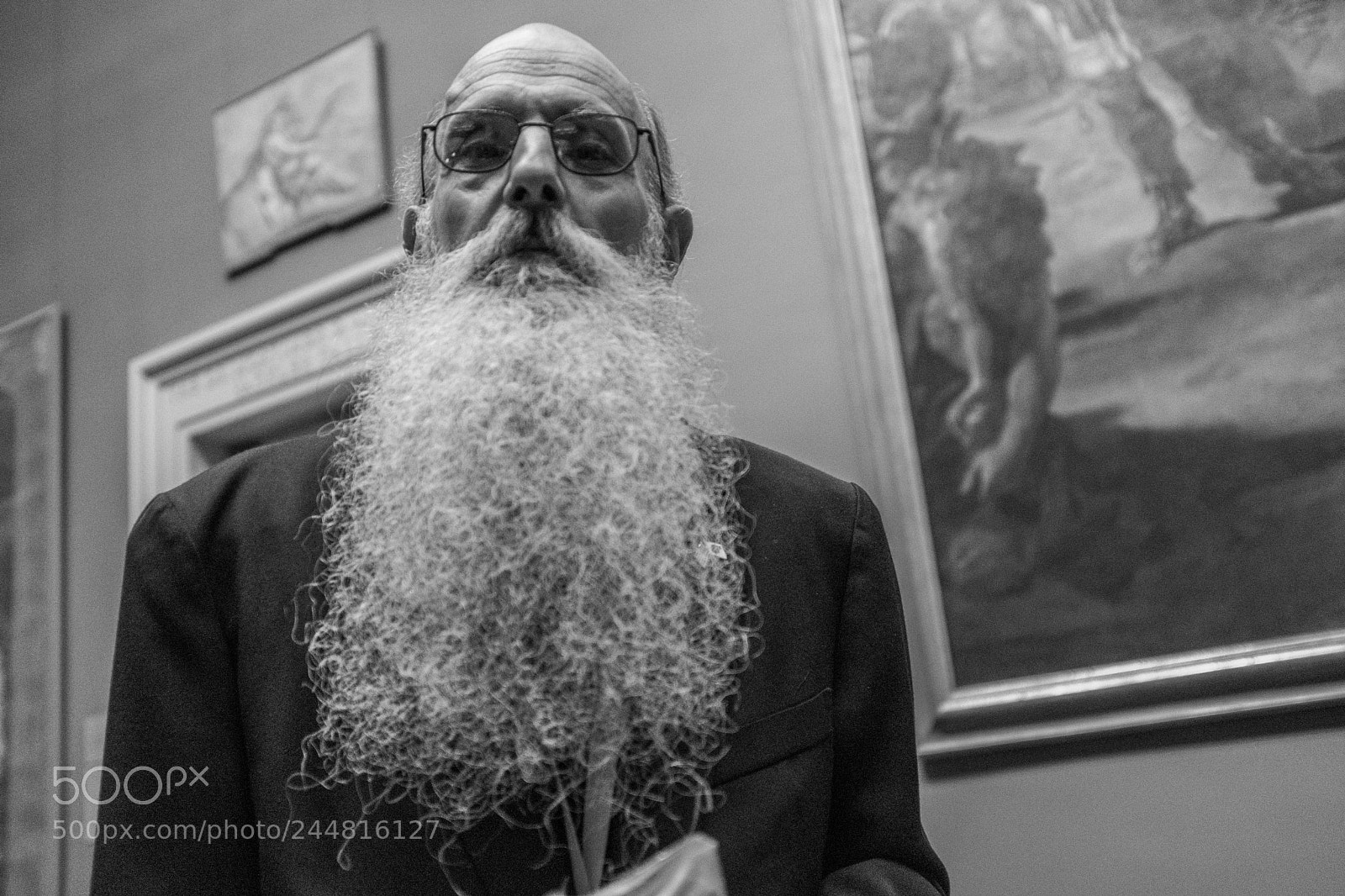 Fujifilm X100F sample photo. "the beard" photography