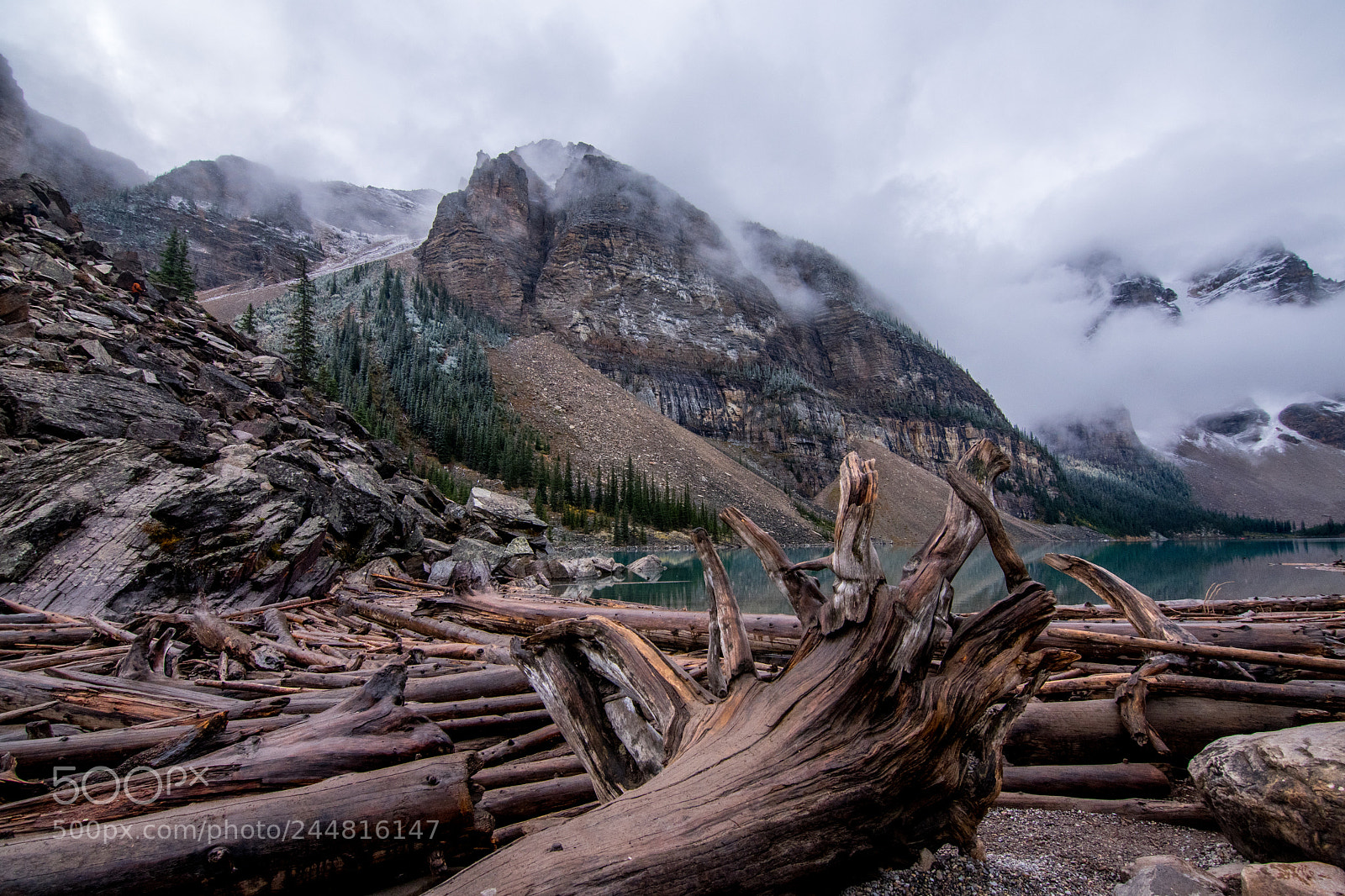 Nikon D500 sample photo. Alberta canada. national parks. photography