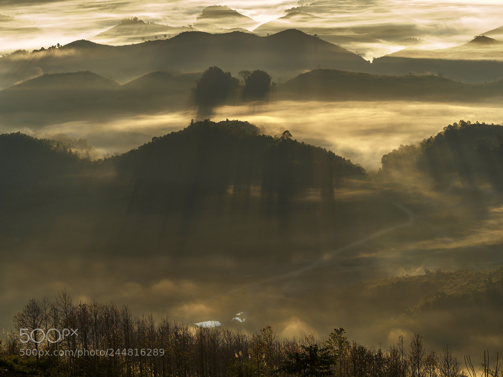 Olympus OM-D E-M10 III sample photo. Foggy mountains photography