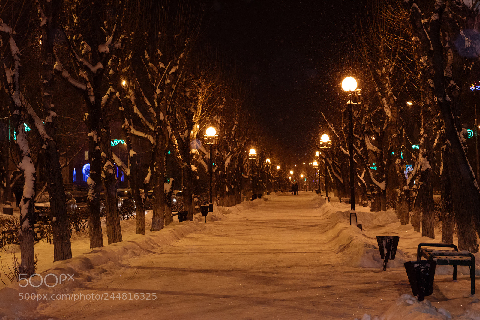 Nikon D5500 sample photo. *** photography