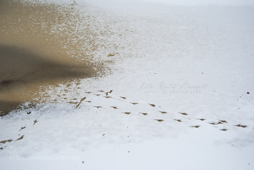 Nikon D3000 sample photo. Sights of snowy kokkola photography