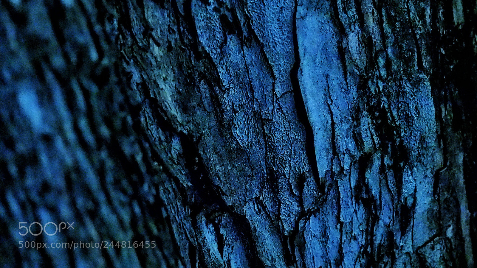 Olympus OM-D E-M5 II sample photo. The tail of godzilla photography