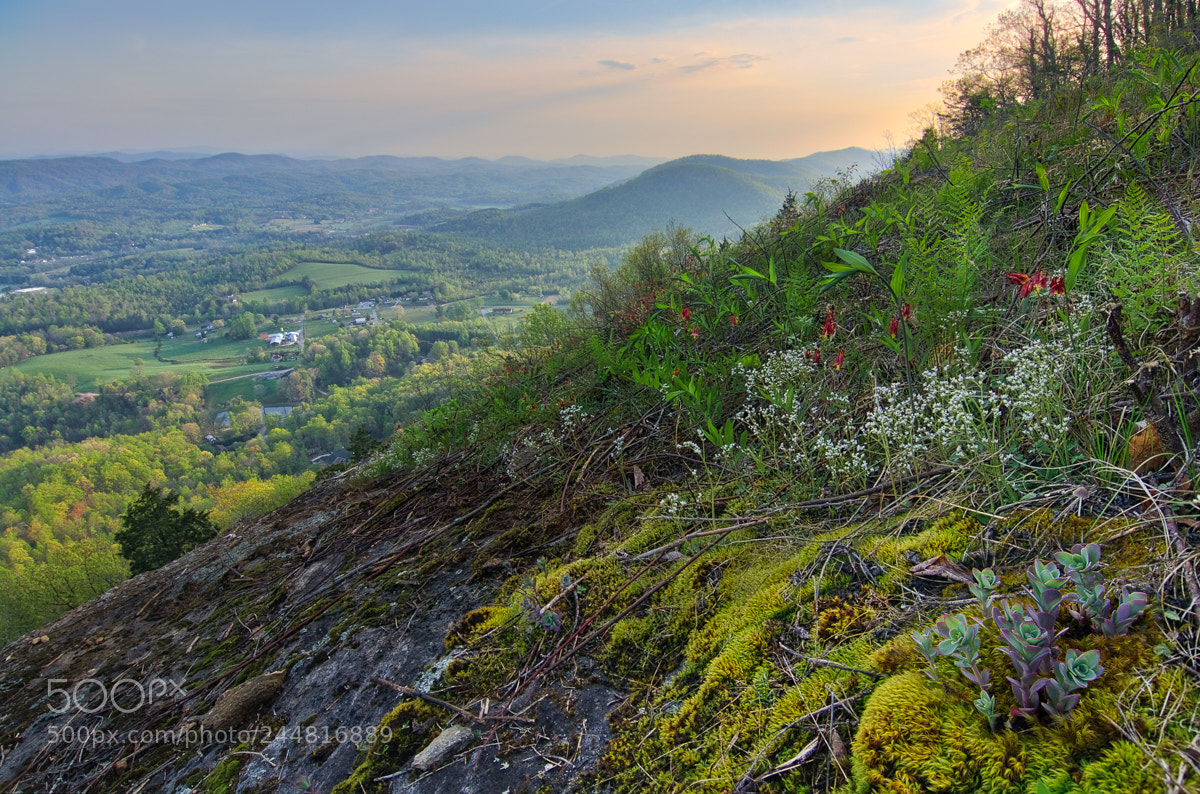 Nikon D5100 sample photo. Spring hillside vista photography