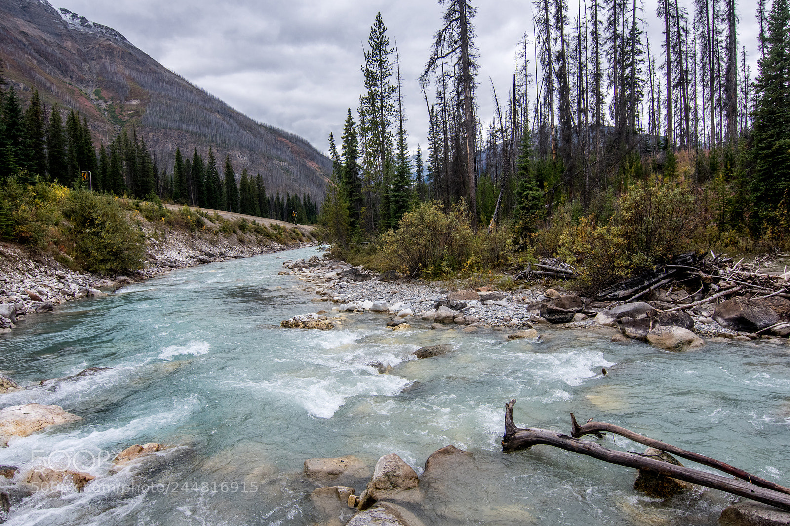 Nikon D500 sample photo. Alberta canada. national parks. photography