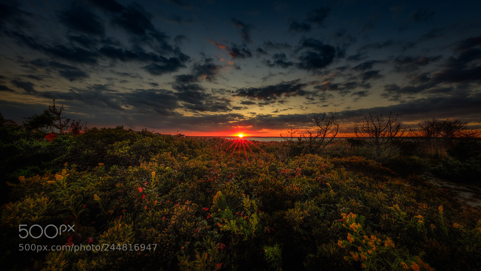 Canon EOS 5DS R sample photo. Another sunset photography