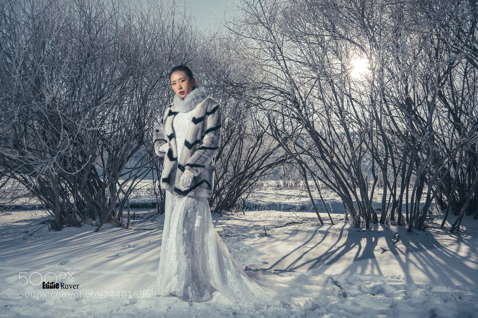 Nikon D5 sample photo. Eddie raver photography