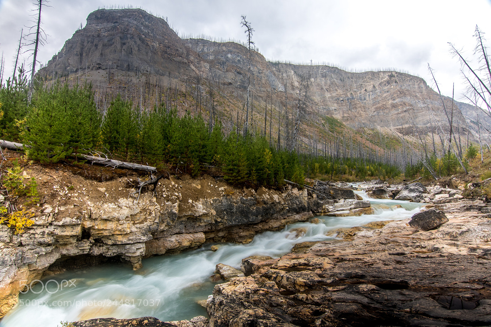 Nikon D500 sample photo. Alberta canada. national parks. photography