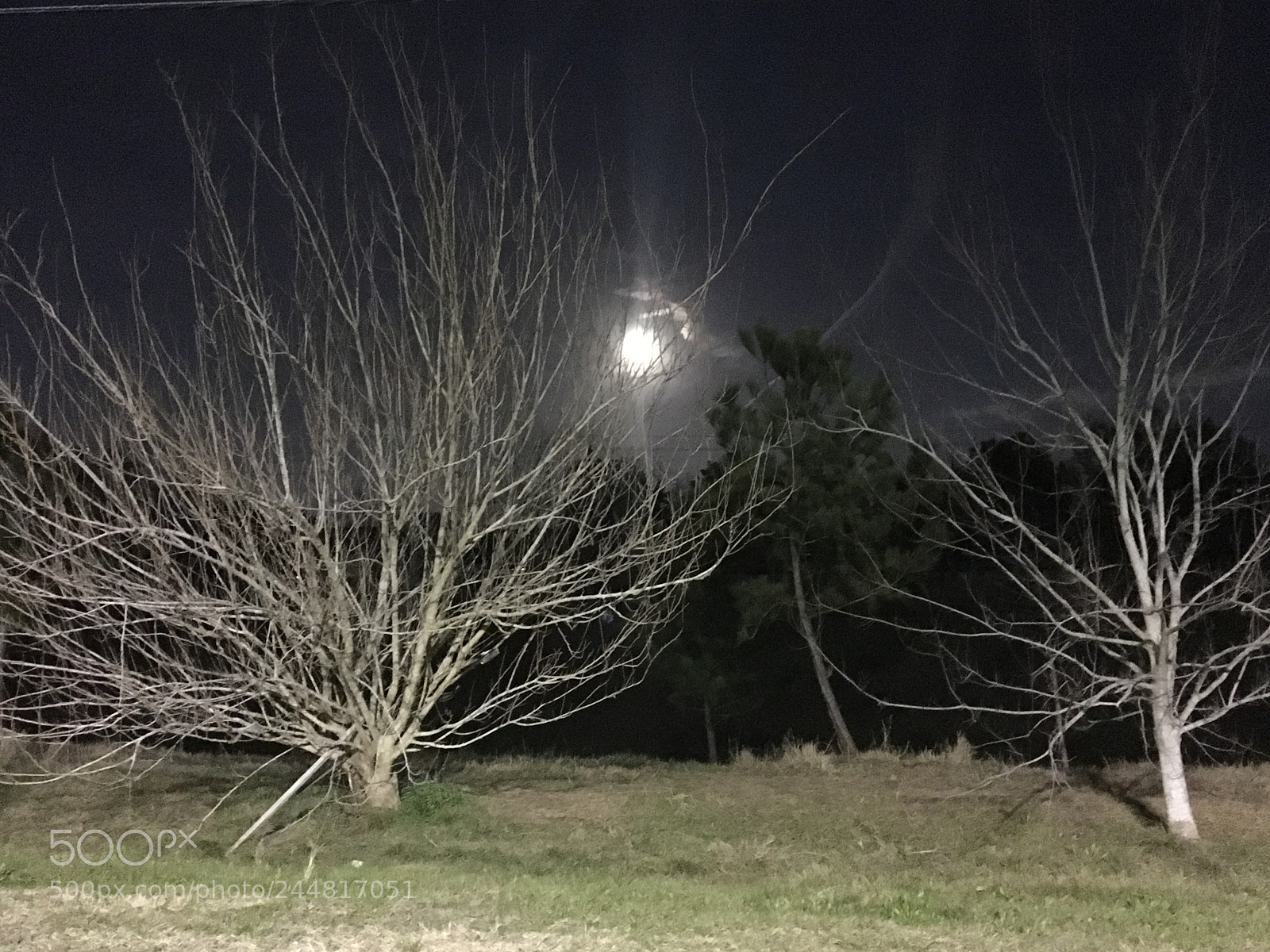 Apple iPhone 6s sample photo. Untitled photography